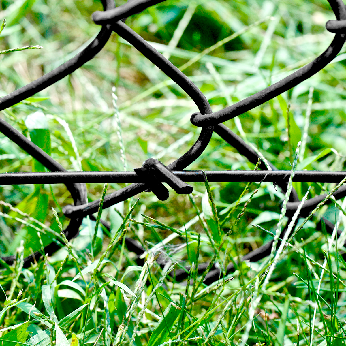 Chain Link Simple 11