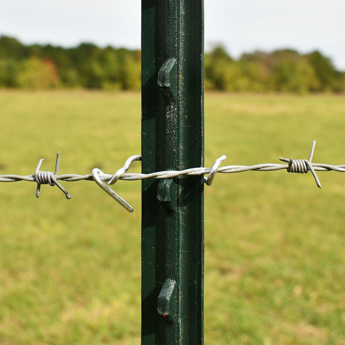 Ag Fence Accessories